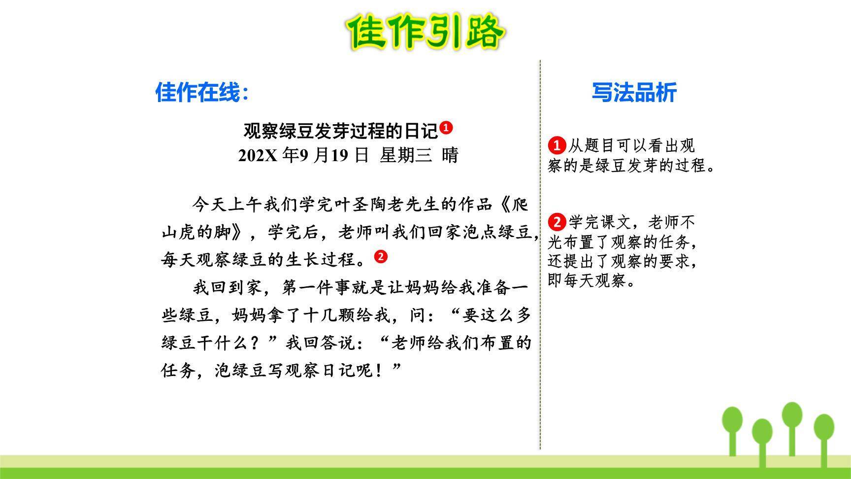 写观察日记PPT课件33