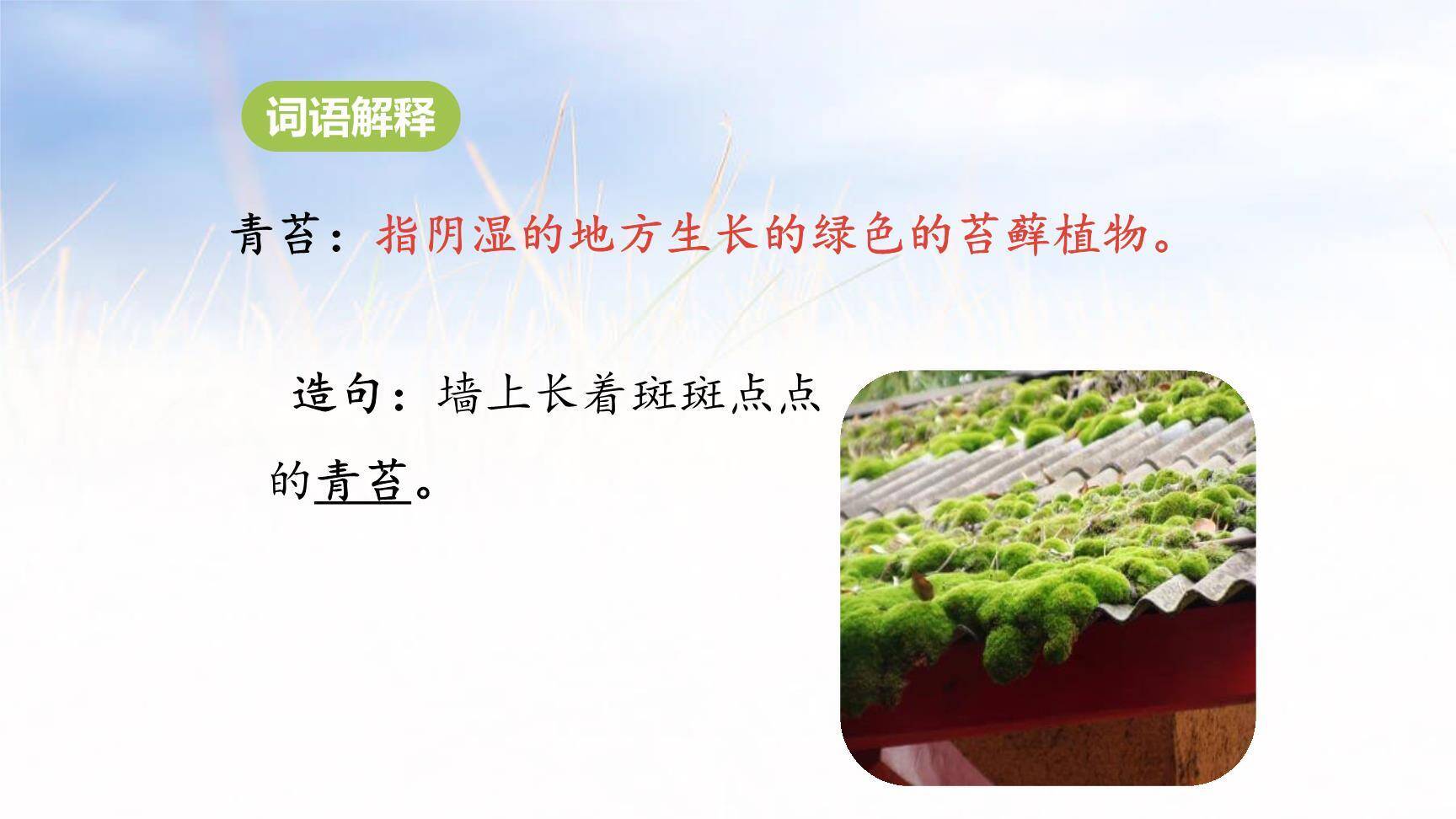 一个豆荚里的五粒豆PPT课件26