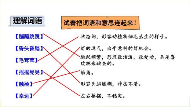 我是一只小虫子PPT课件89