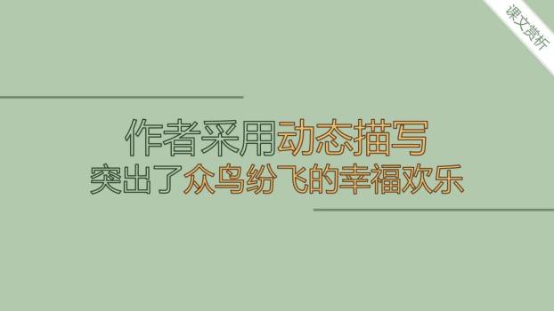 鸟的天堂PPT课件48