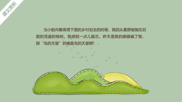 鸟的天堂PPT课件49