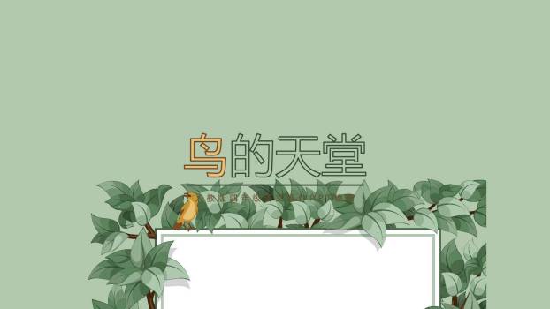 鸟的天堂PPT课件40