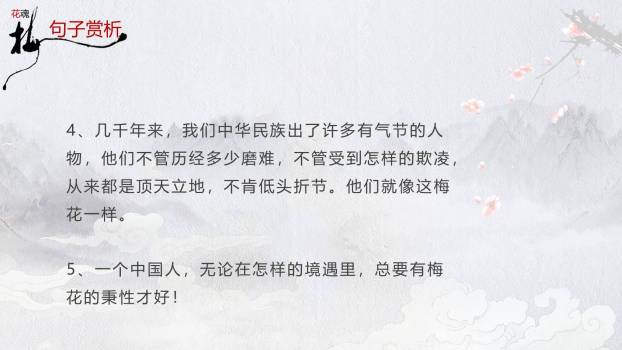 梅花魂PPT课件28