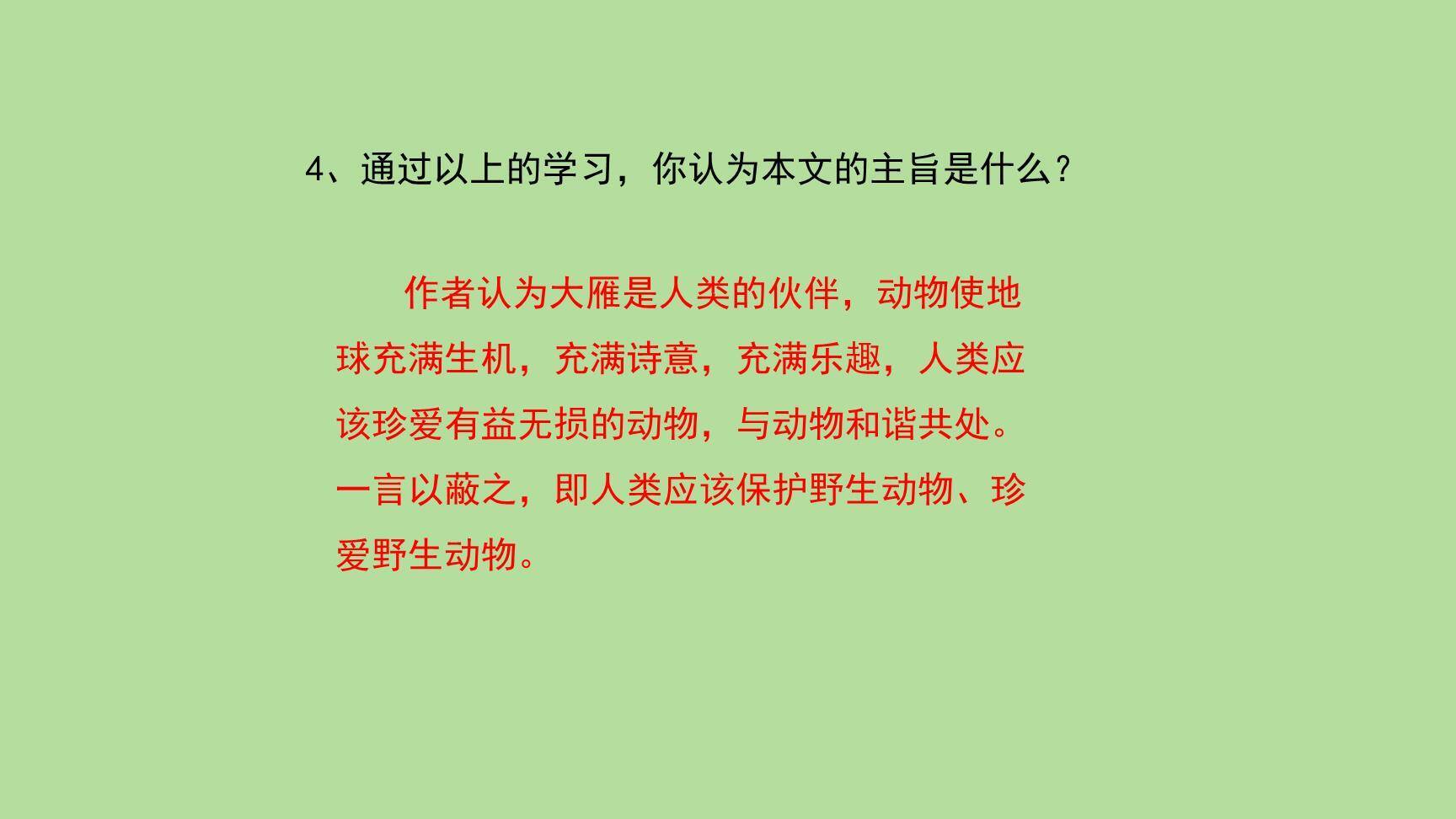 大雁归来PPT课件15