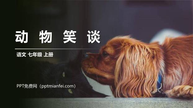 动物笑谈PPT课件20