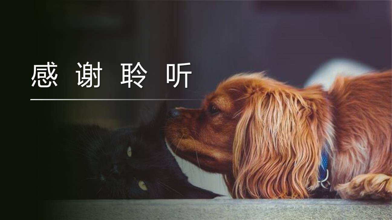 动物笑谈PPT课件25