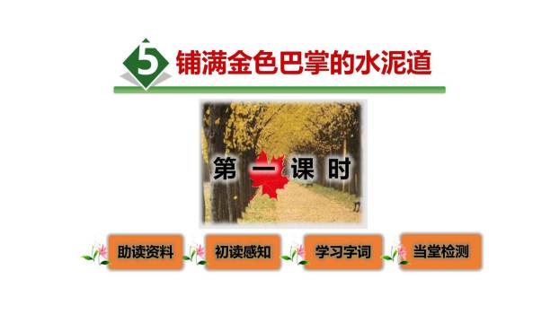 铺满金色巴掌的水泥道PPT课件30