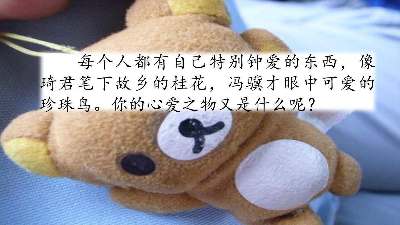 我的心爱之物PPT课件57
