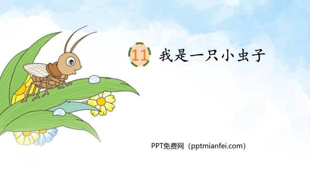 我是一只小虫子PPT课件60