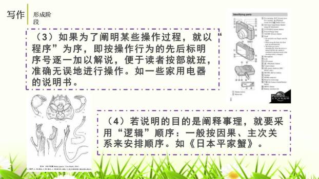 说明事物要抓住特征PPT课件49