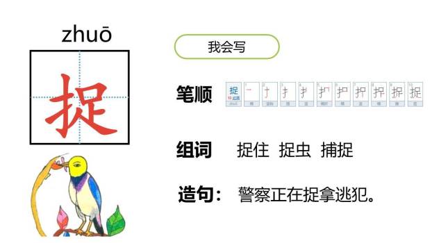 小壁虎借尾巴PPT课件41