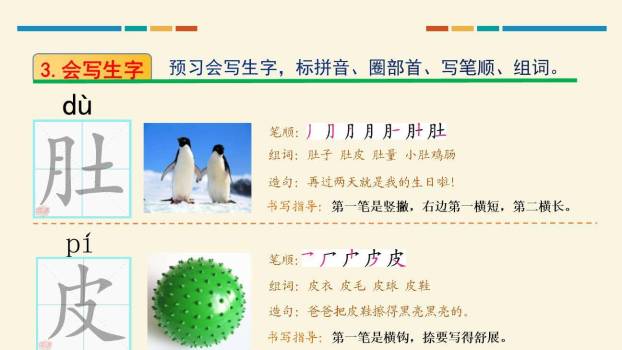 小蝌蚪找妈妈PPT课件11