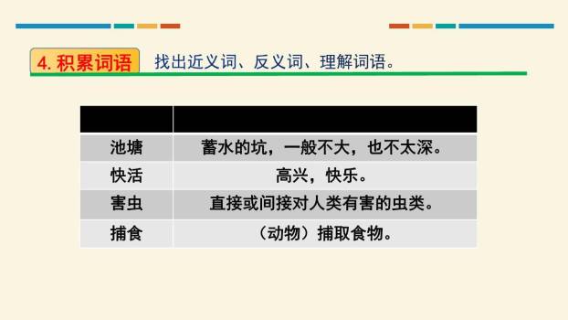 小蝌蚪找妈妈PPT课件14