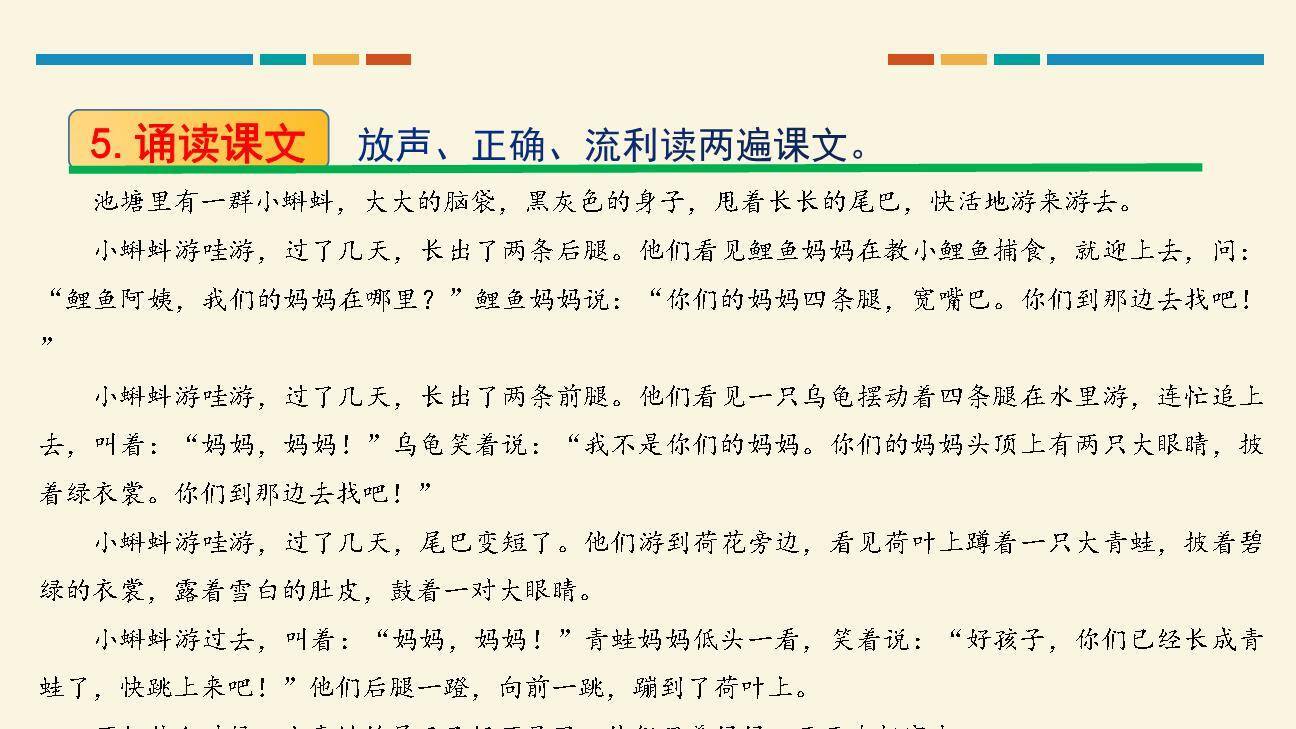 小蝌蚪找妈妈PPT课件15