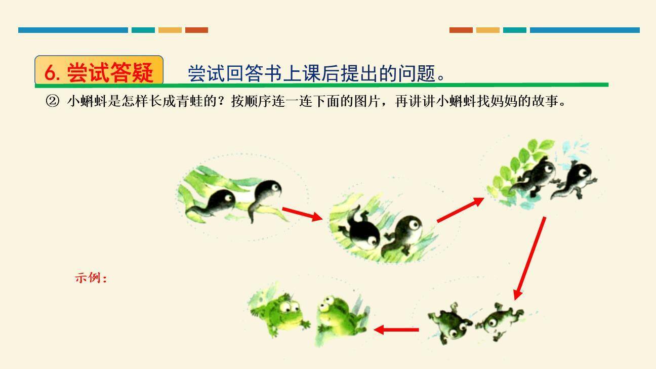 小蝌蚪找妈妈PPT课件17