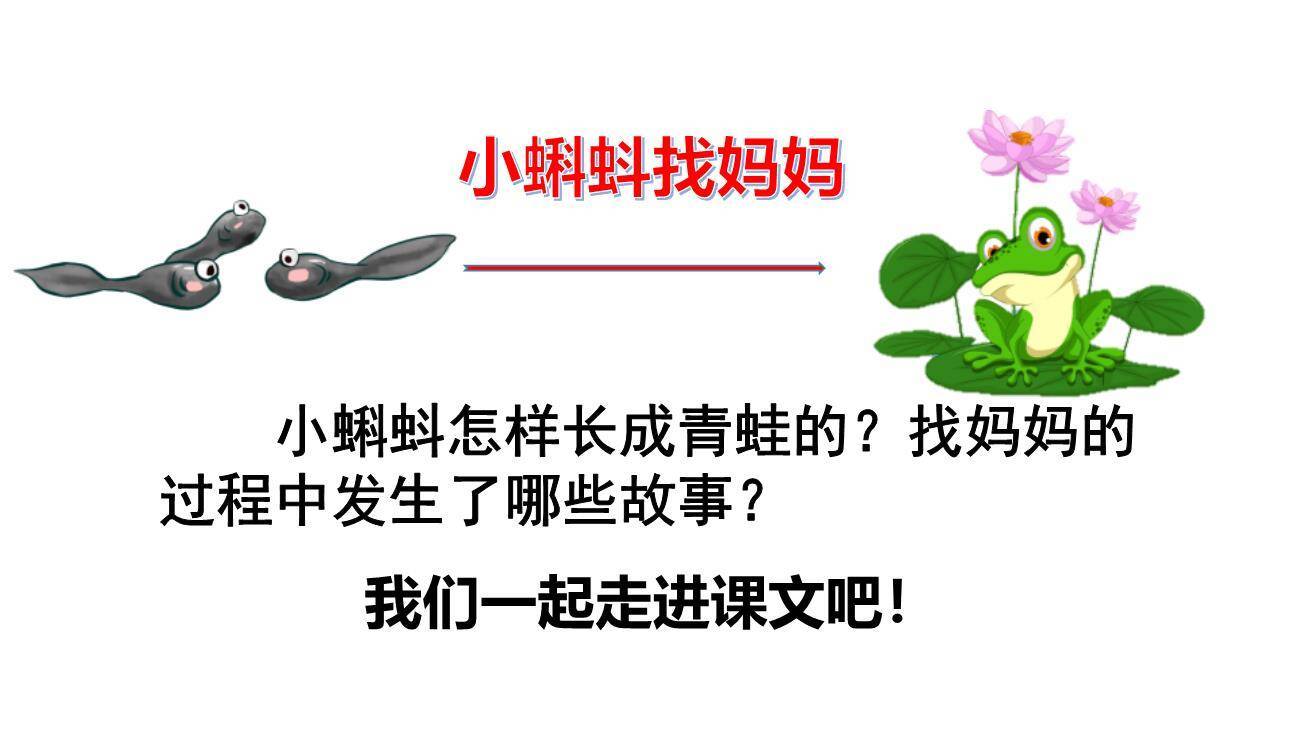 小蝌蚪找妈妈PPT课件72