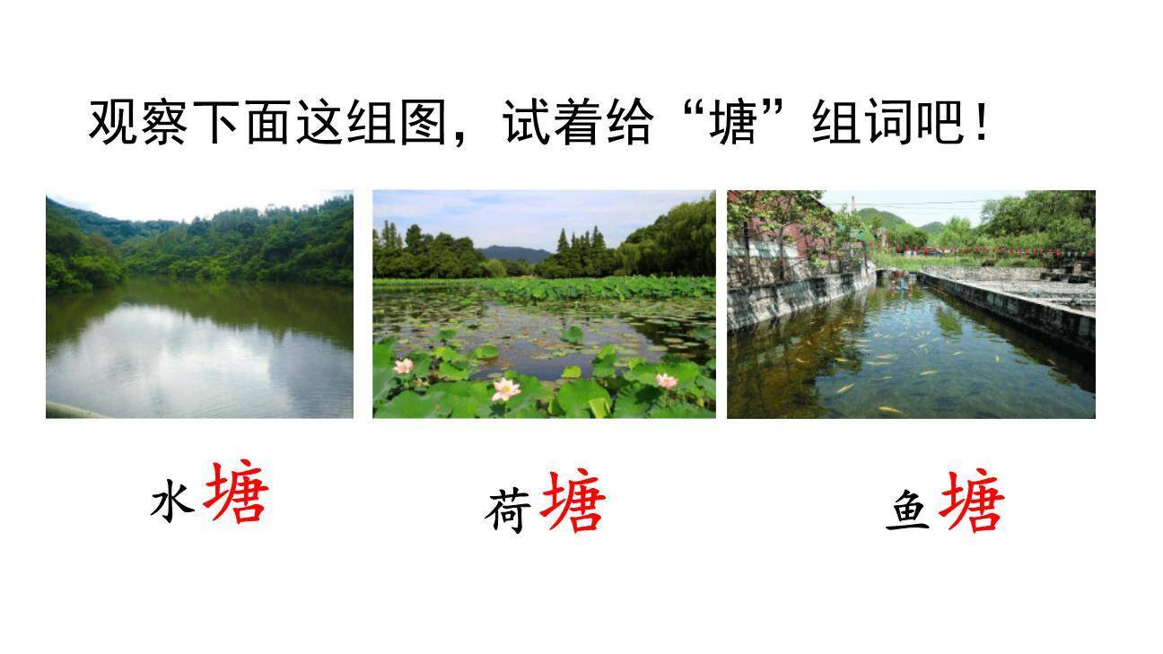 小蝌蚪找妈妈PPT课件75