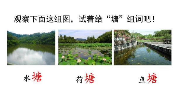 小蝌蚪找妈妈PPT课件75