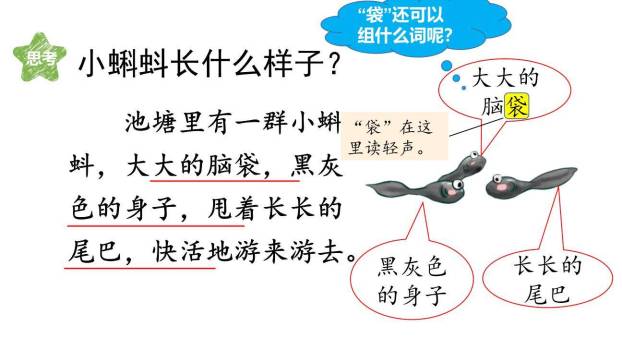 小蝌蚪找妈妈PPT课件76