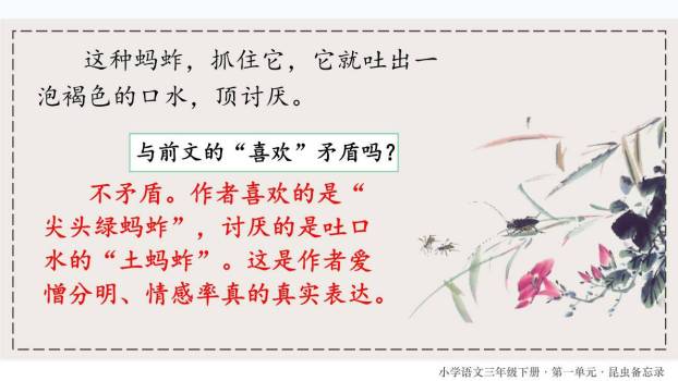 昆虫备忘录PPT课件89