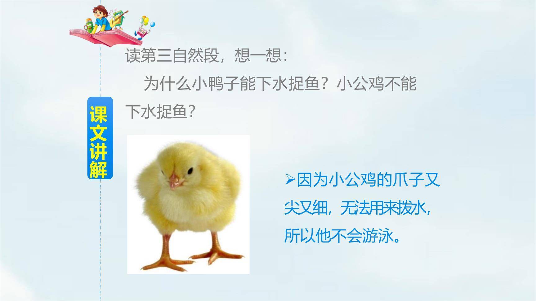 小公鸡和小鸭子PPT课件15