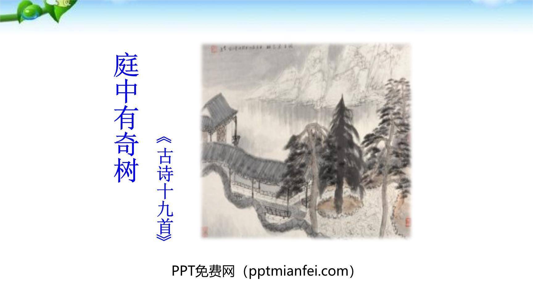 庭中有奇树PPT课件40