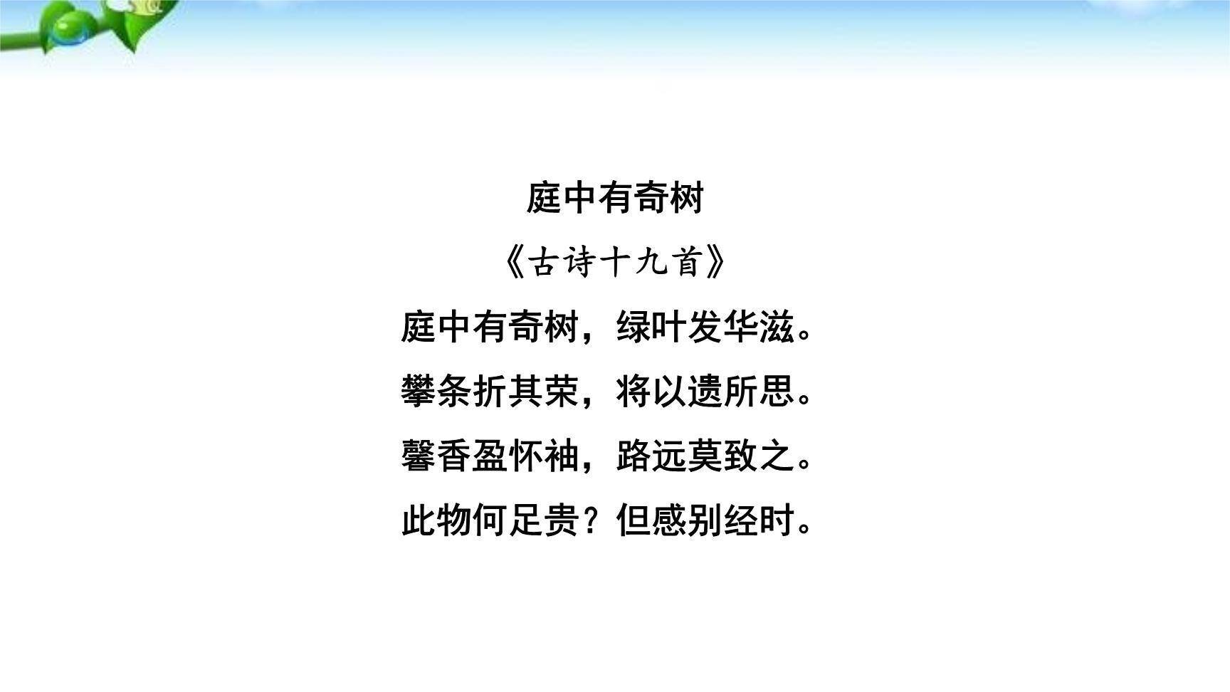 庭中有奇树PPT课件45