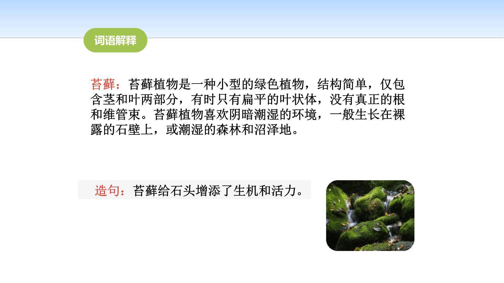 夏天里的成长PPT课件24