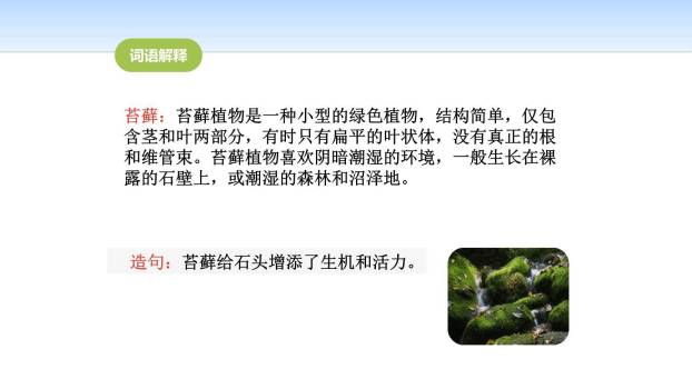 夏天里的成长PPT课件24