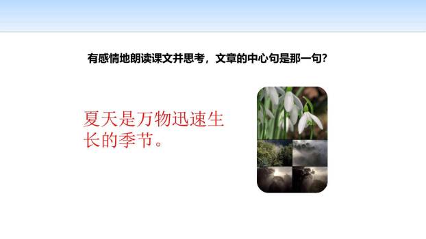 夏天里的成长PPT课件25