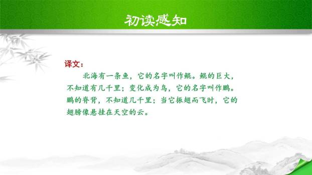 北冥有鱼PPT课件17