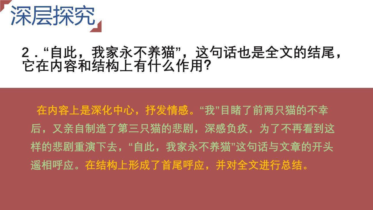 《猫》PPT课件49