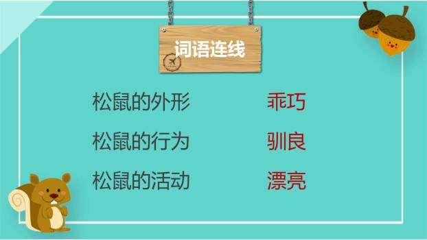 松鼠PPT课件59