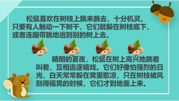 松鼠PPT课件54