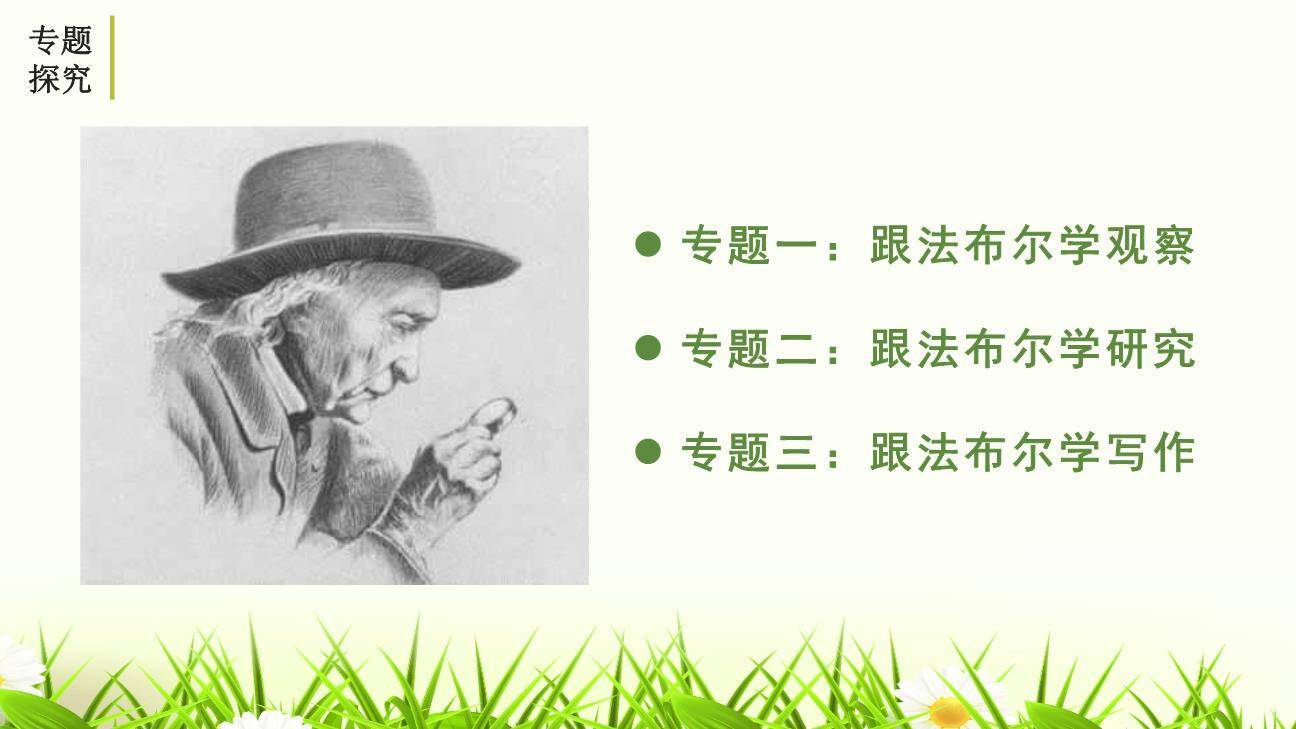 昆虫记PPT课件18