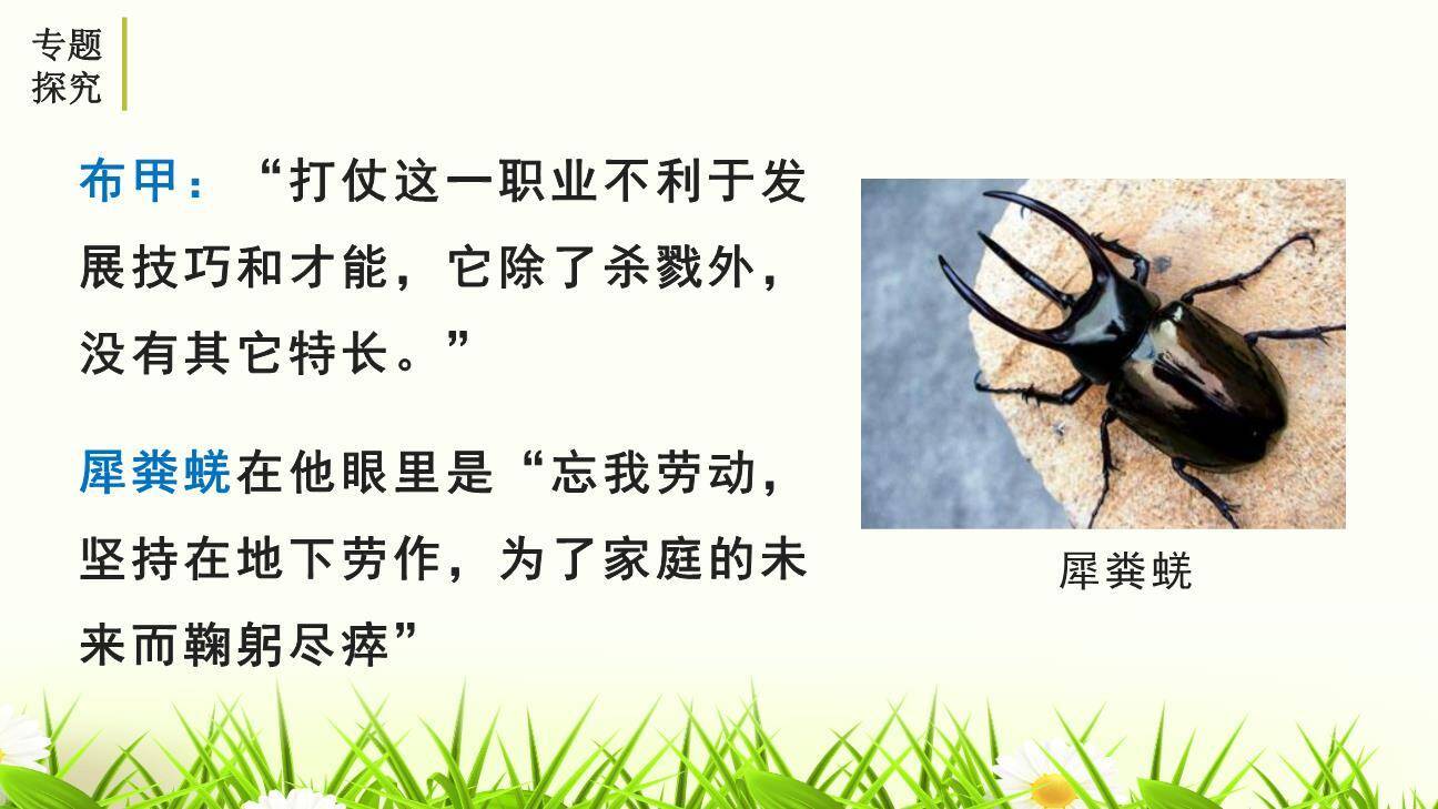 昆虫记PPT课件11