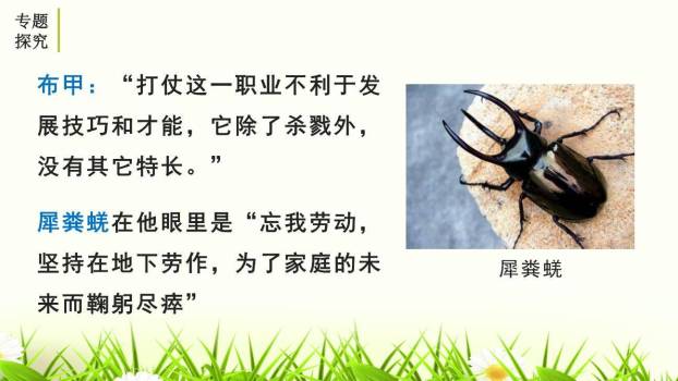 昆虫记PPT课件11