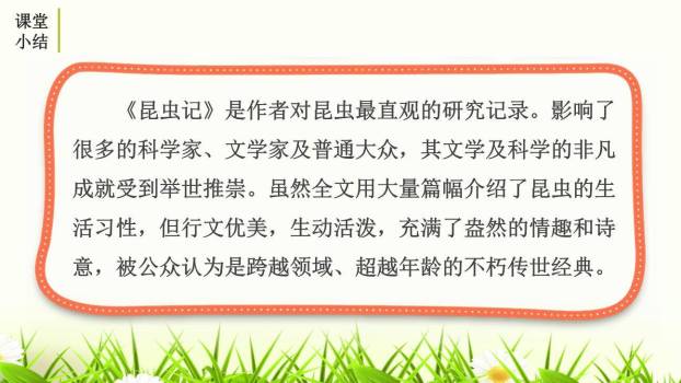 昆虫记PPT课件12