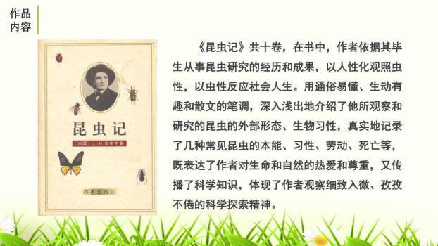 昆虫记PPT课件13