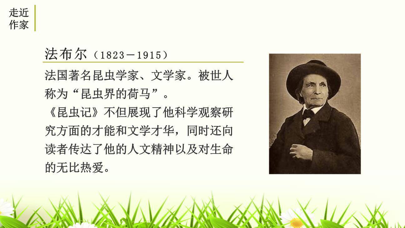 昆虫记PPT课件16