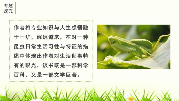昆虫记PPT课件17