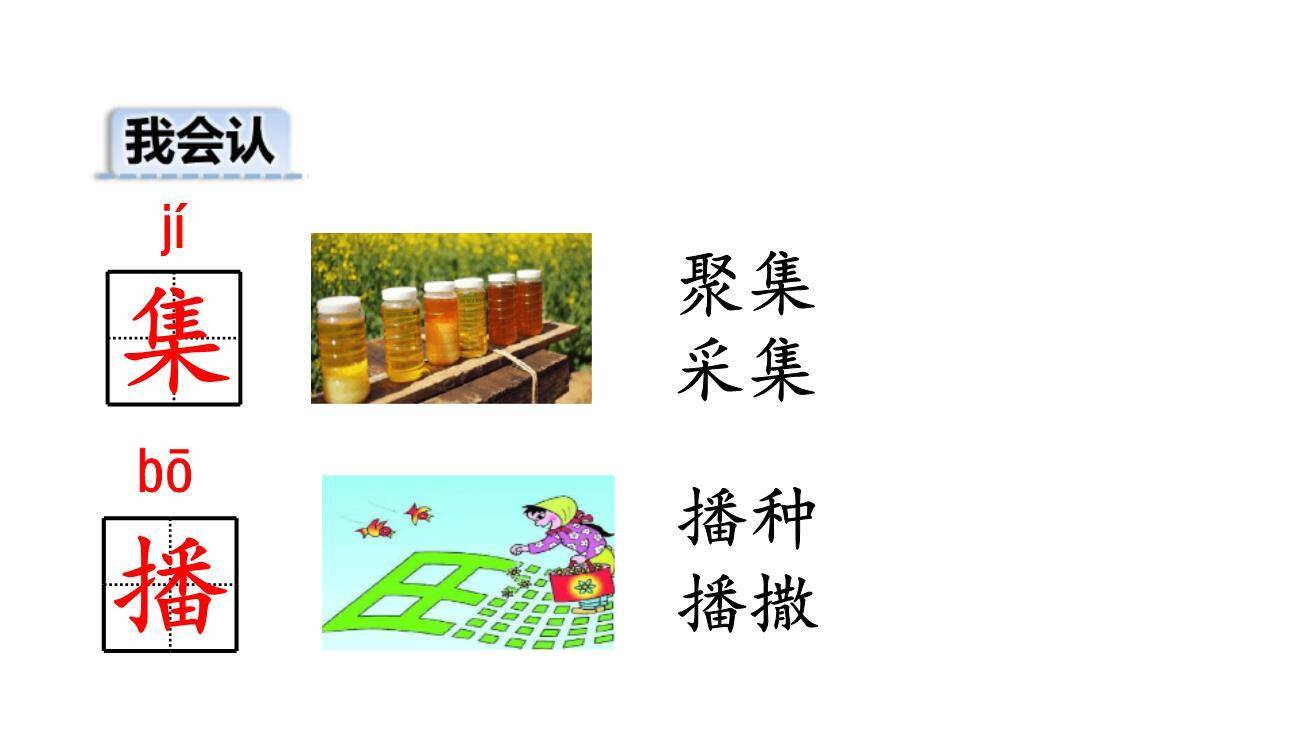 青蛙卖泥塘PPT课件82