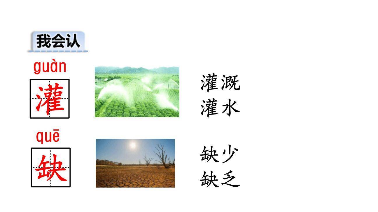 青蛙卖泥塘PPT课件84