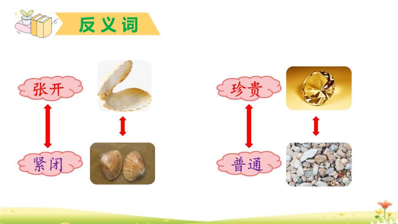 贝的故事PPT课件75