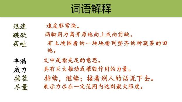 夏天里的成长PPT课件68