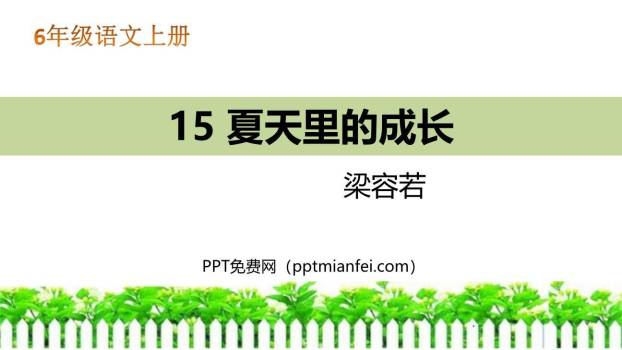 夏天里的成长PPT课件60