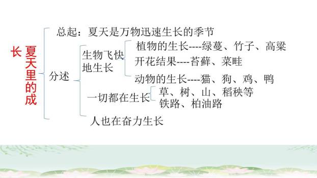 夏天里的成长PPT课件62