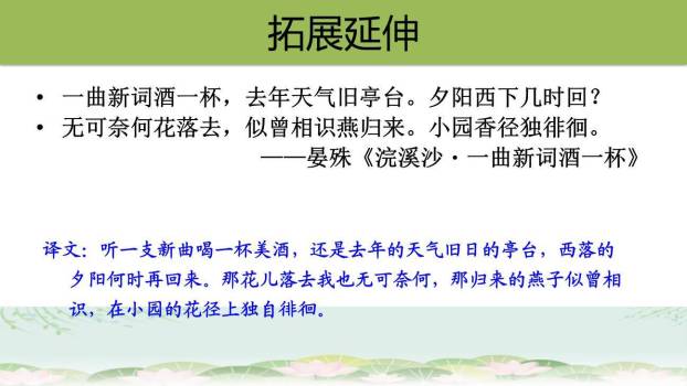 夏天里的成长PPT课件64