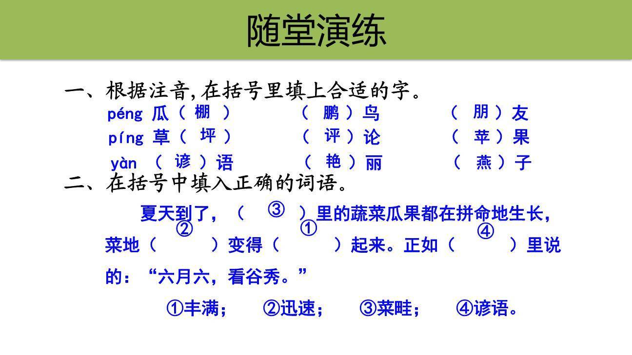 夏天里的成长PPT课件65