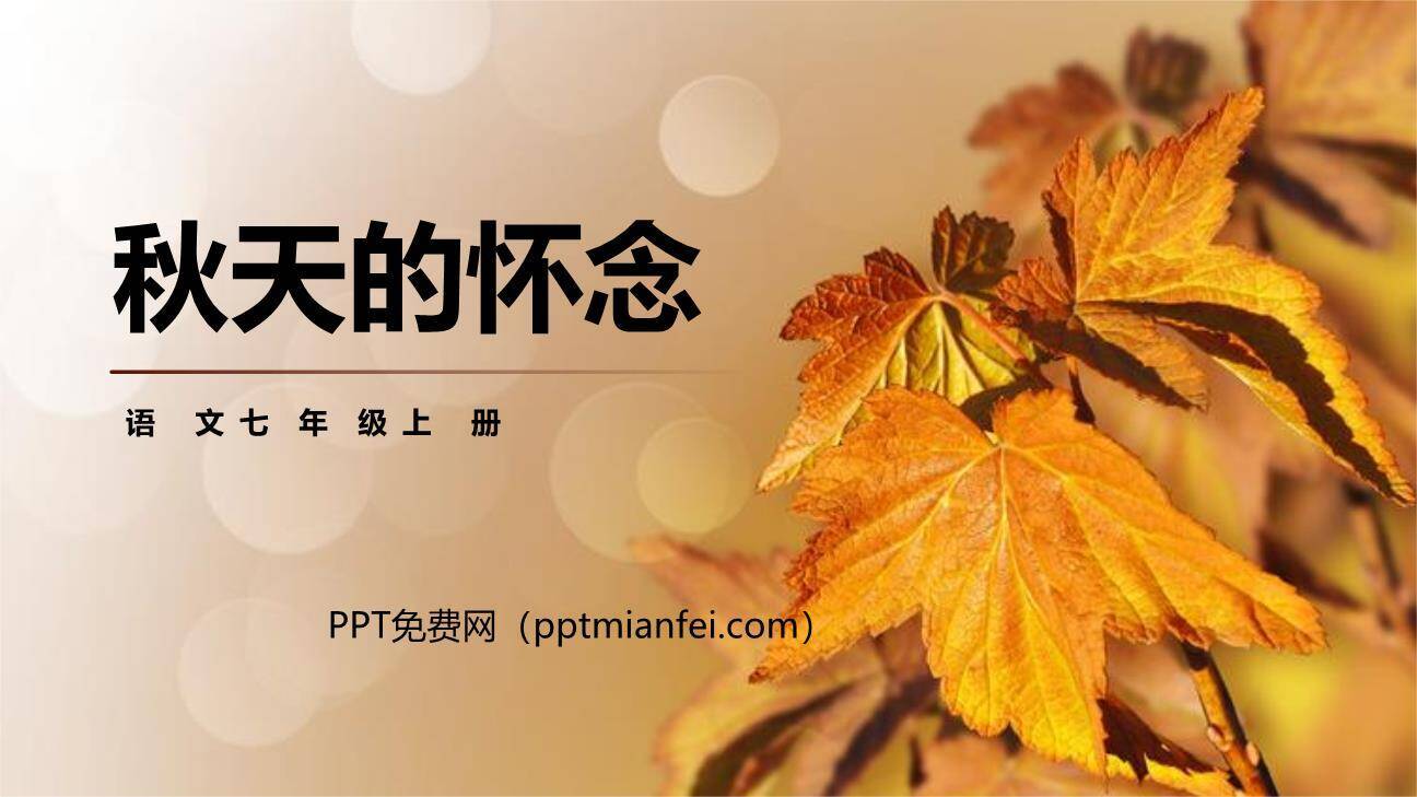 秋天的怀念PPT课件80